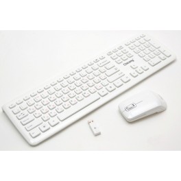 Kit Tastiera e Mouse Wireless Kit Tastiera e Mouse Wireless